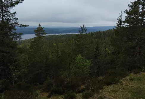 Sotarblixt och djupdalsleden.