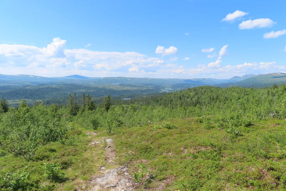 Klicka för att förstora