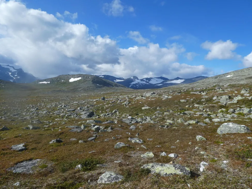 Klicka för att förstora