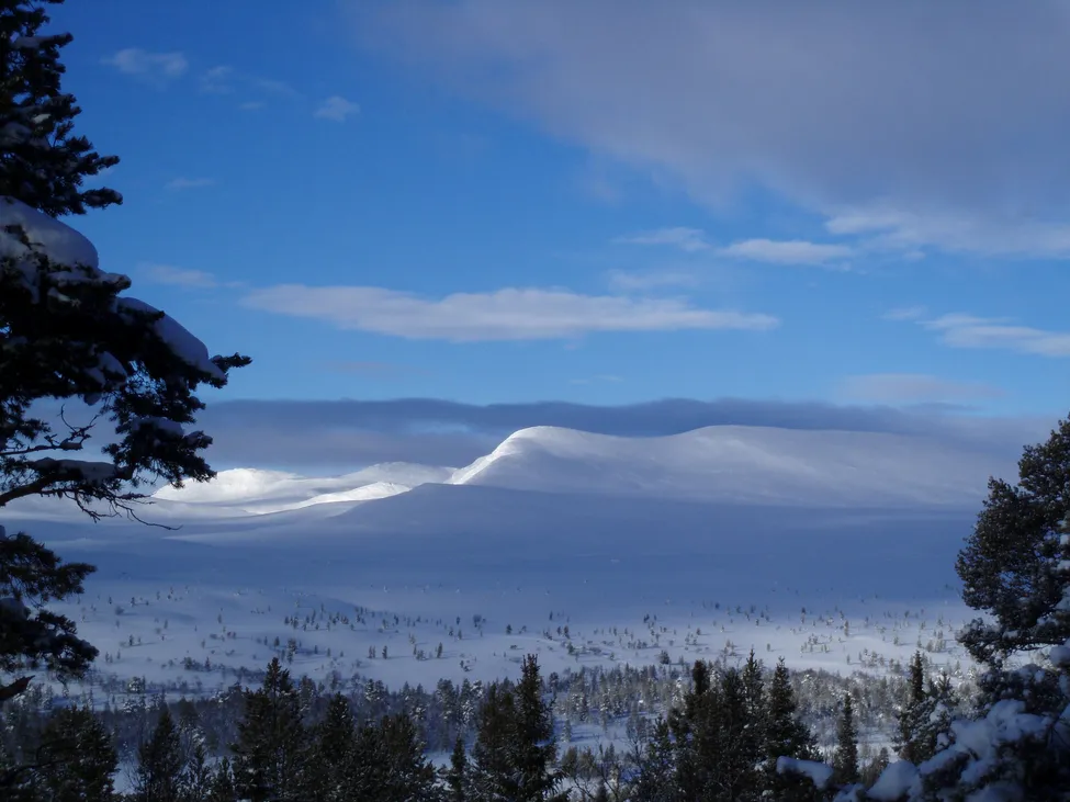 Klicka för att förstora