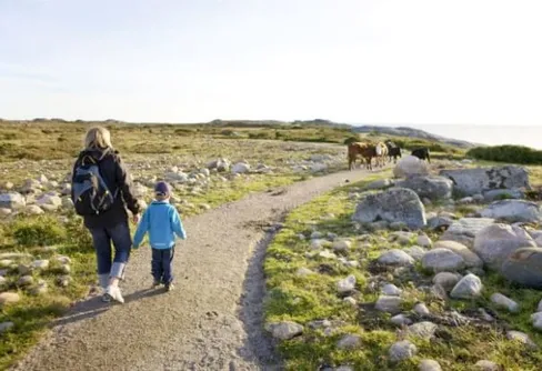 Så undviker du smitta mellan djur och människor på hemestern