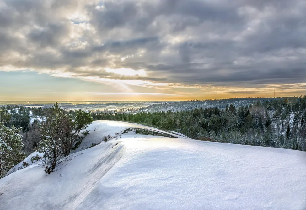 Klicka för att förstora
