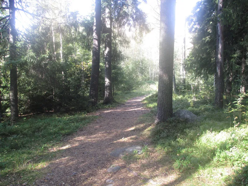 Klicka för att förstora