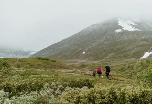 Naturupplevelsen har blivit en inkomstfråga