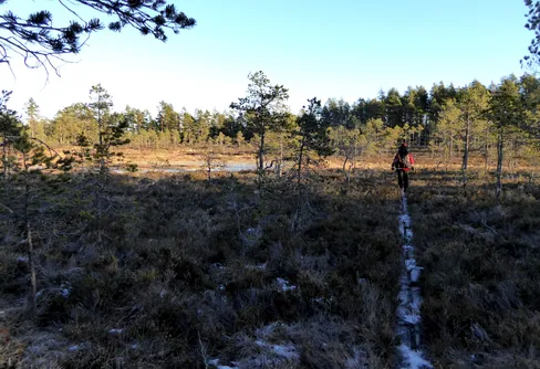 Murstensdalen - årets första övernattning