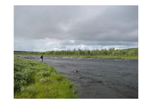 Fånga guld vid regnbågens slut och ett mycket kärt återseende...