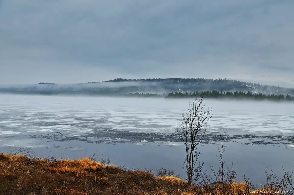 Klicka för att förstora