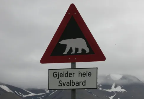 Svalbard - en fantastisk upplevelse
