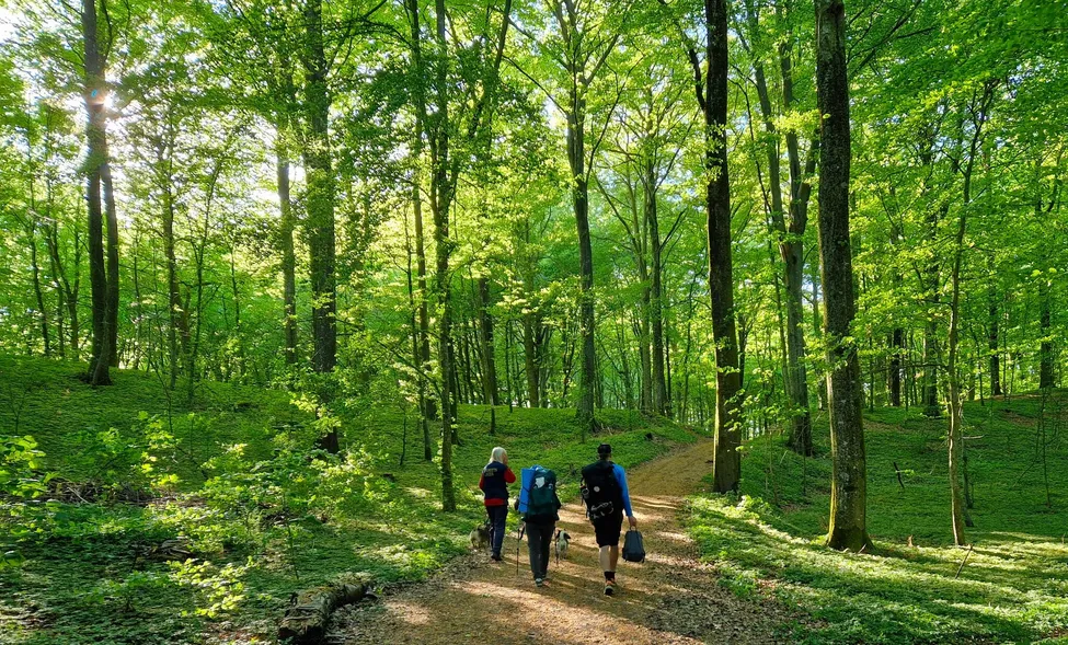 Klicka för att förstora