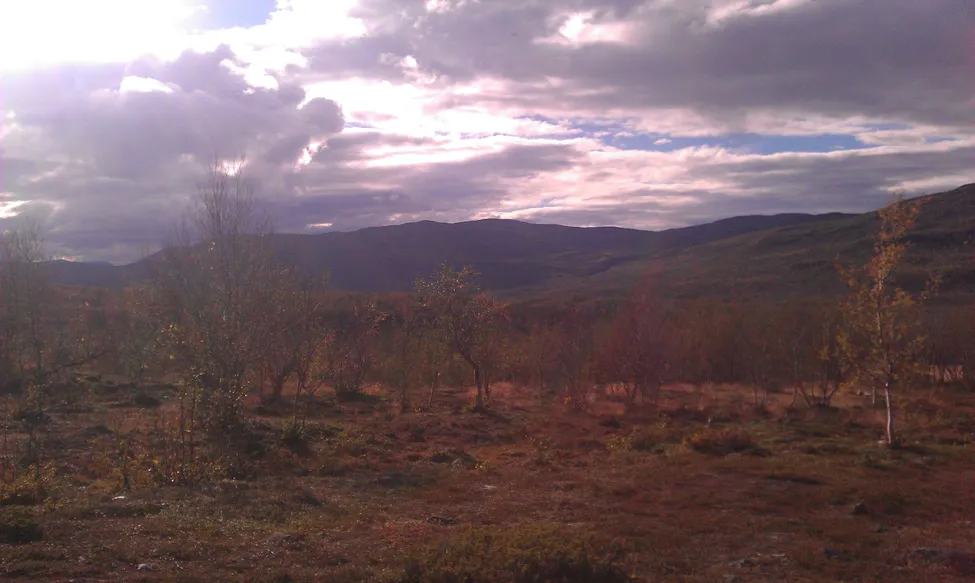 Klicka för att förstora