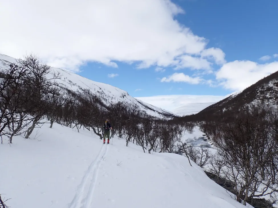 Klicka för att förstora