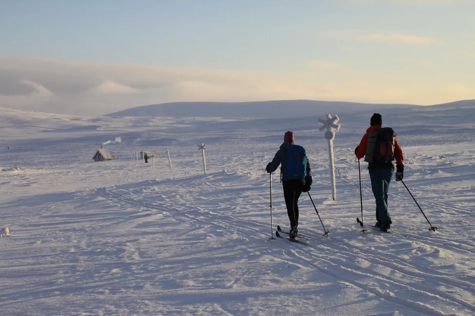 Klicka för att förstora
