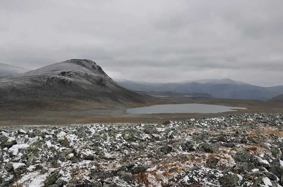 Klicka för att förstora