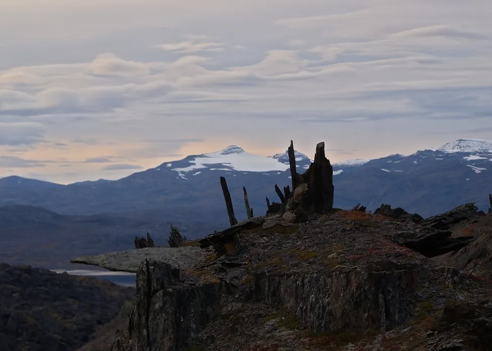 Klicka för att förstora