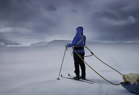 Projekt: En känsla av vildmark
