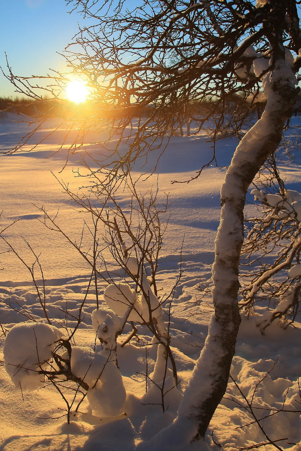 Klicka för att förstora