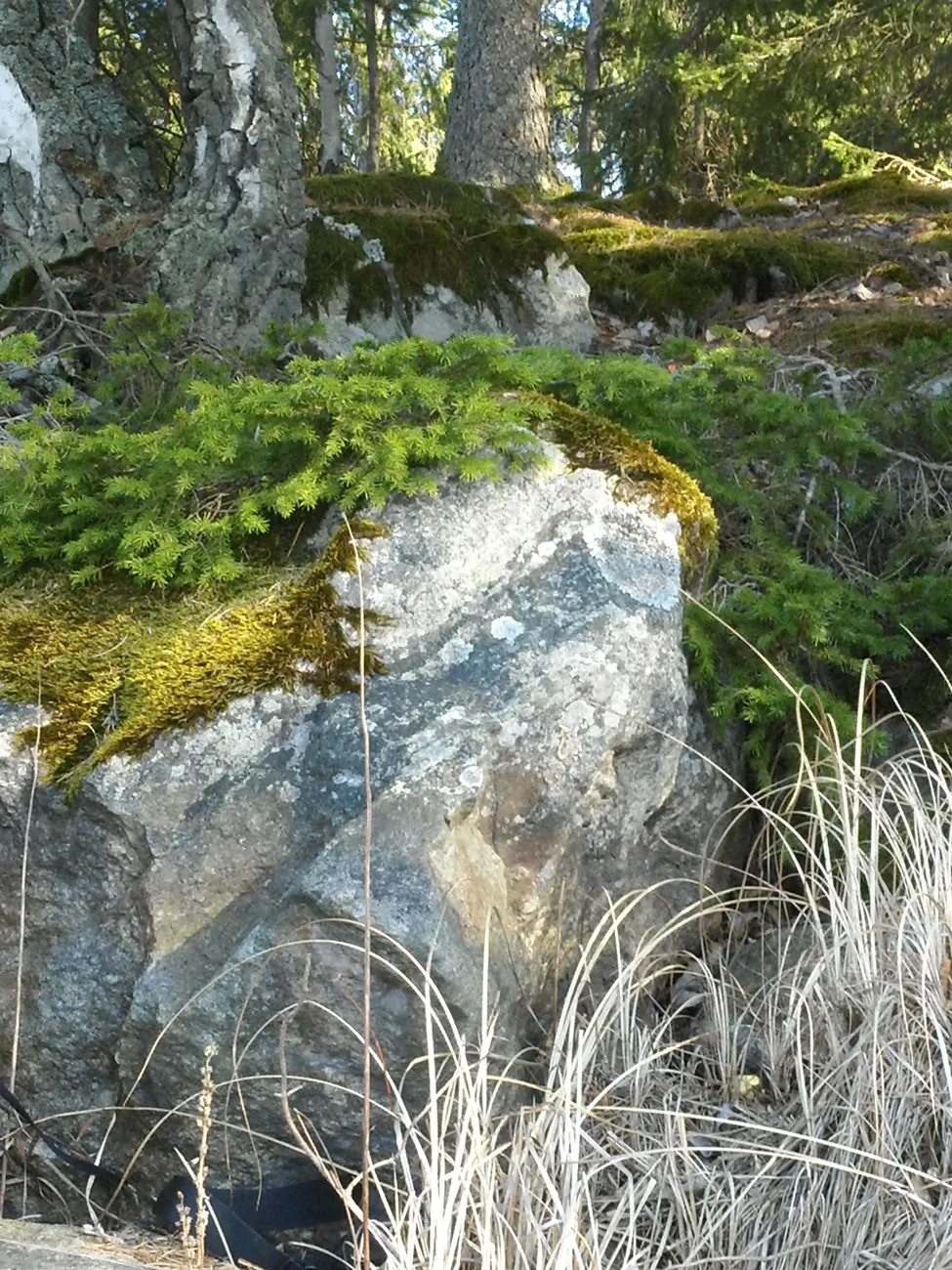 Klicka för att förstora