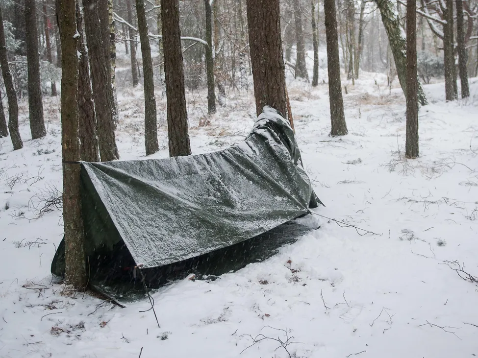 Klicka för att förstora