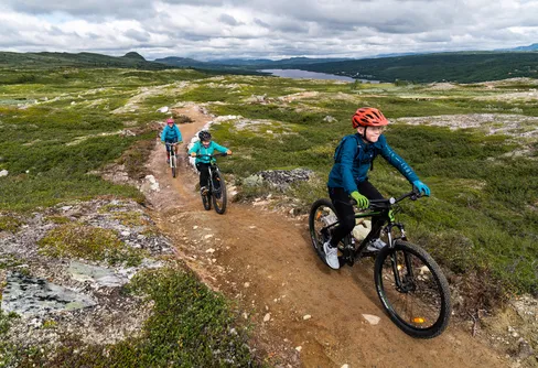 Kris blev till rekordsommar