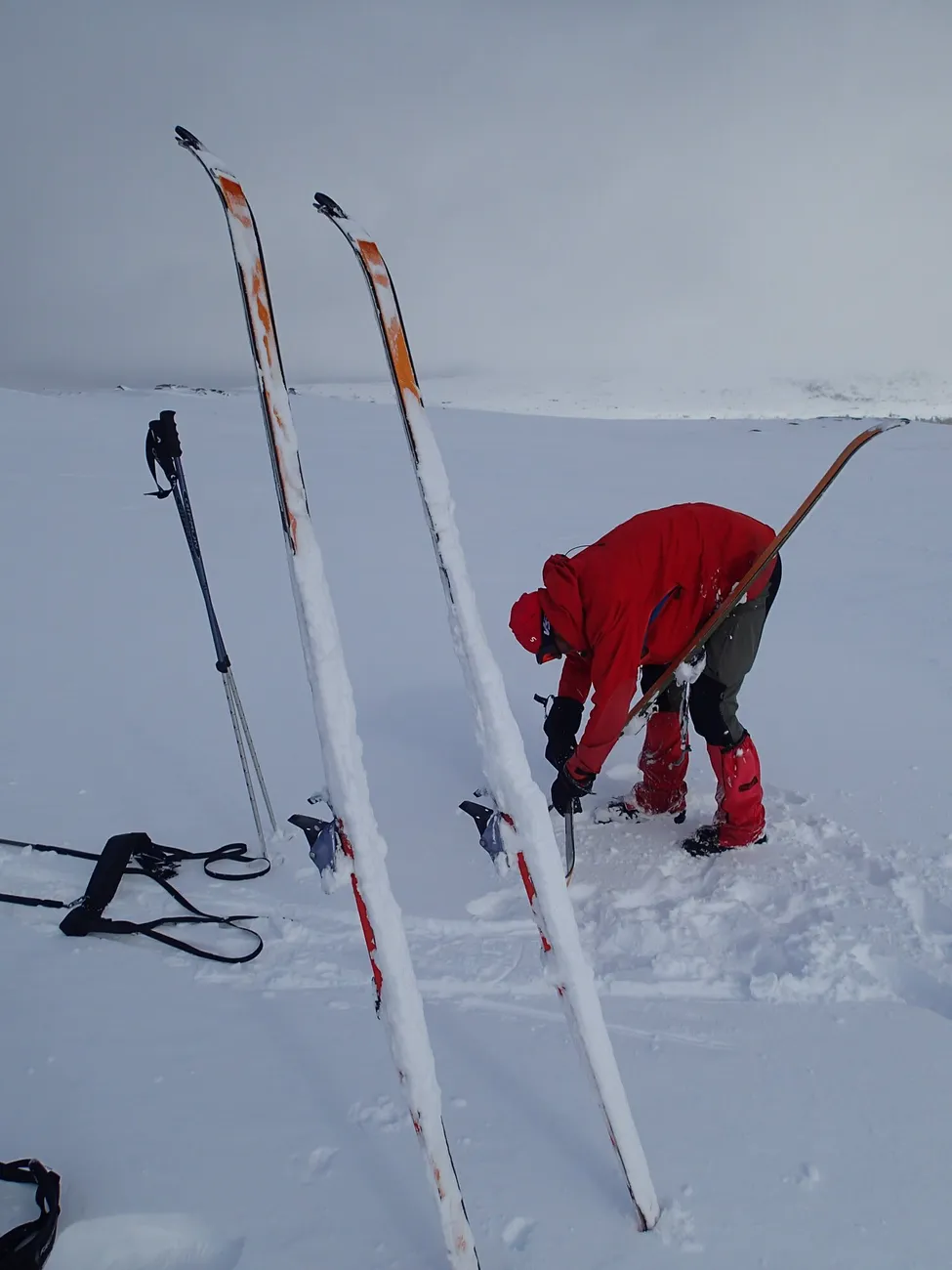 Klicka för att förstora