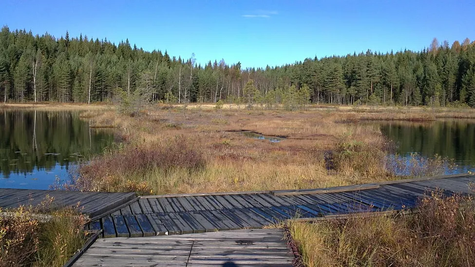 Klicka för att förstora