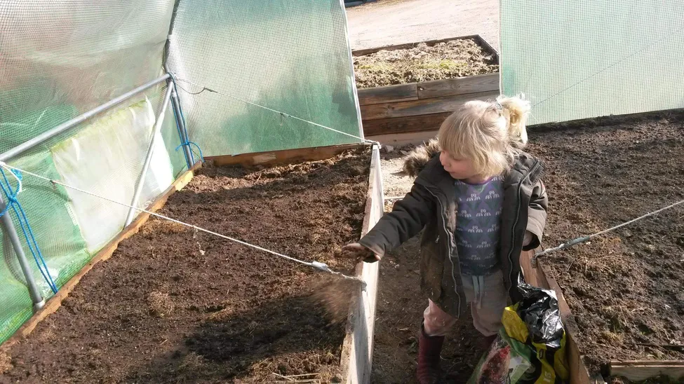 Klicka för att förstora