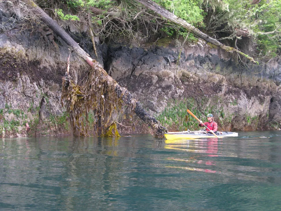 Klicka för att förstora