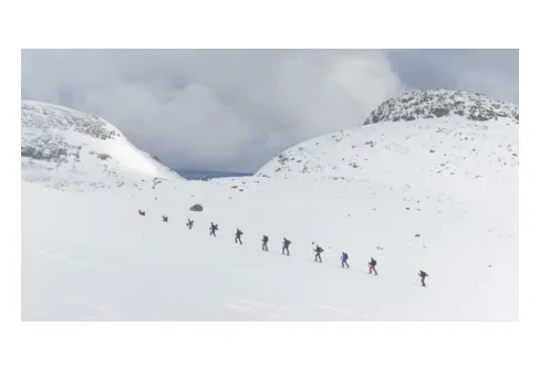 Vinnarna av fjällpass!