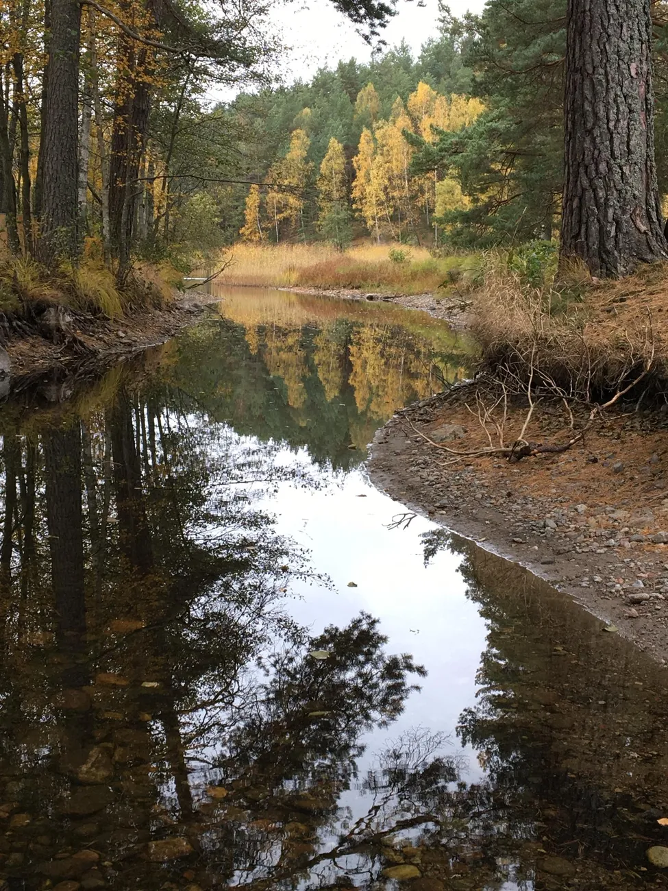 Klicka för att förstora