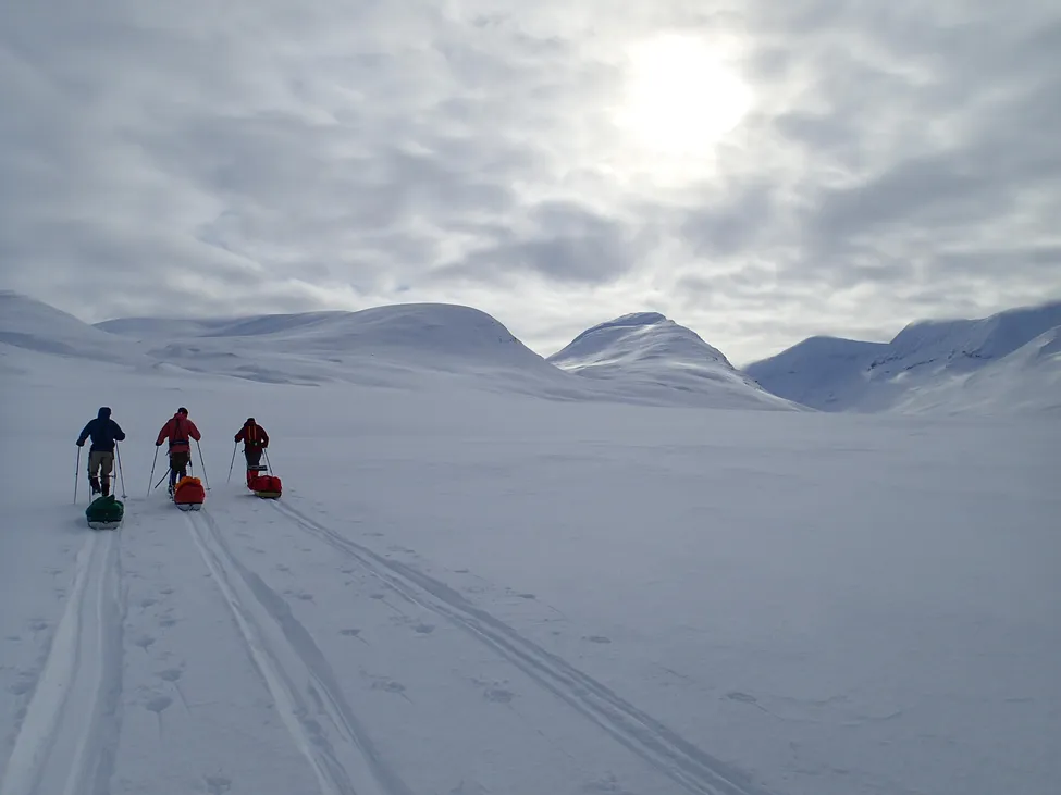 Klicka för att förstora