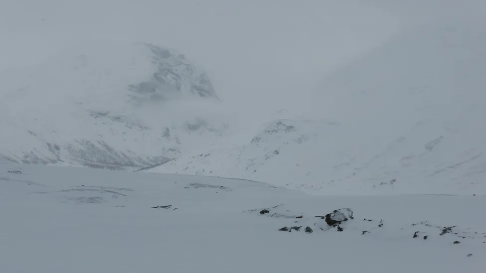 Klicka för att förstora