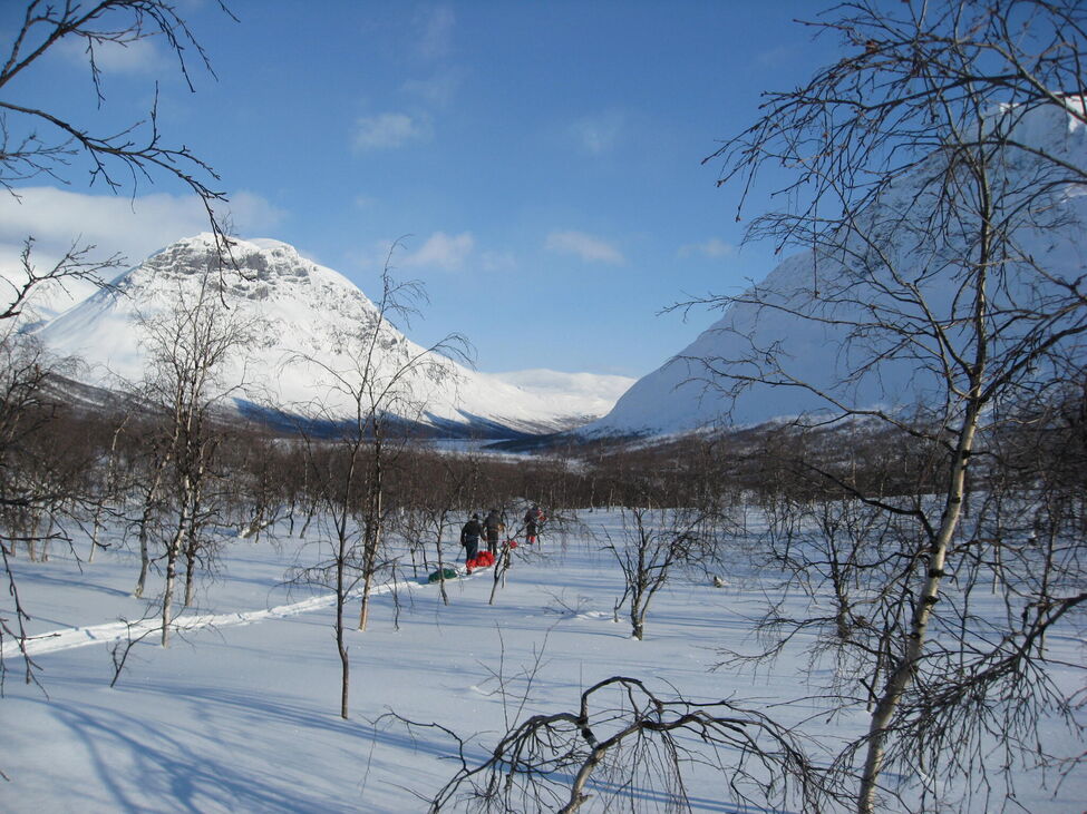 Klicka för att förstora