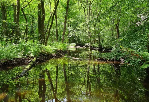 Söderåsens okända dalgångar