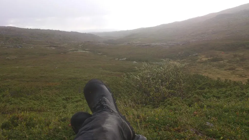 Klicka för att förstora