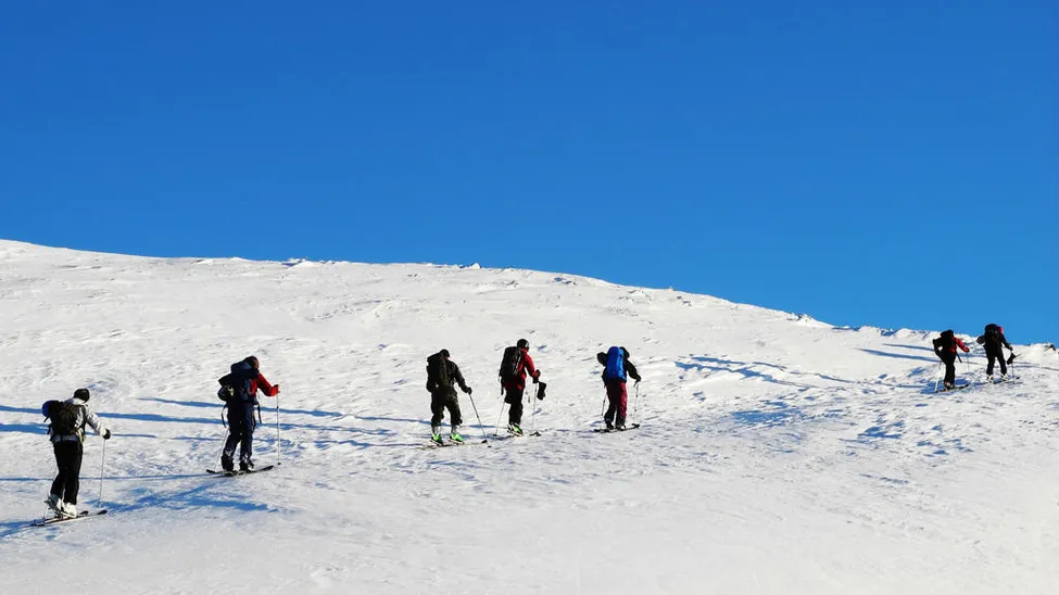 Klicka för att förstora