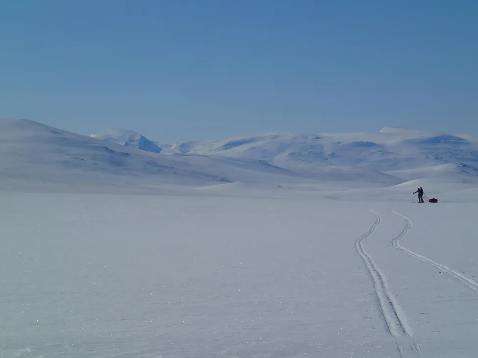 Klicka för att förstora