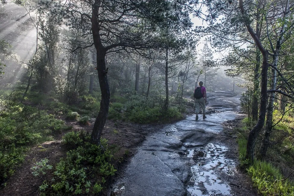 Klicka för att förstora