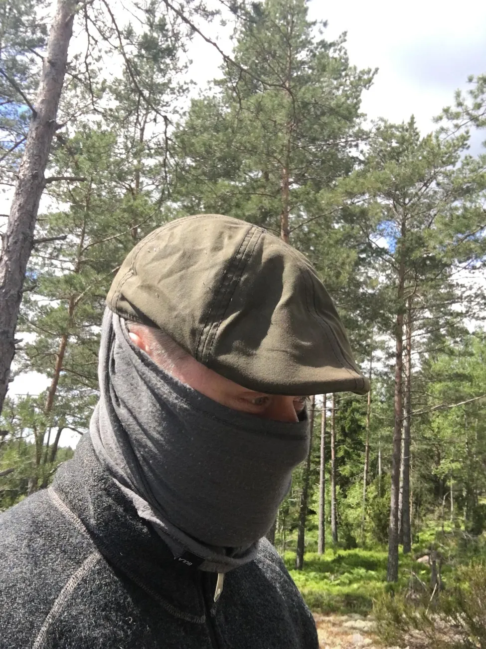 Klicka för att förstora