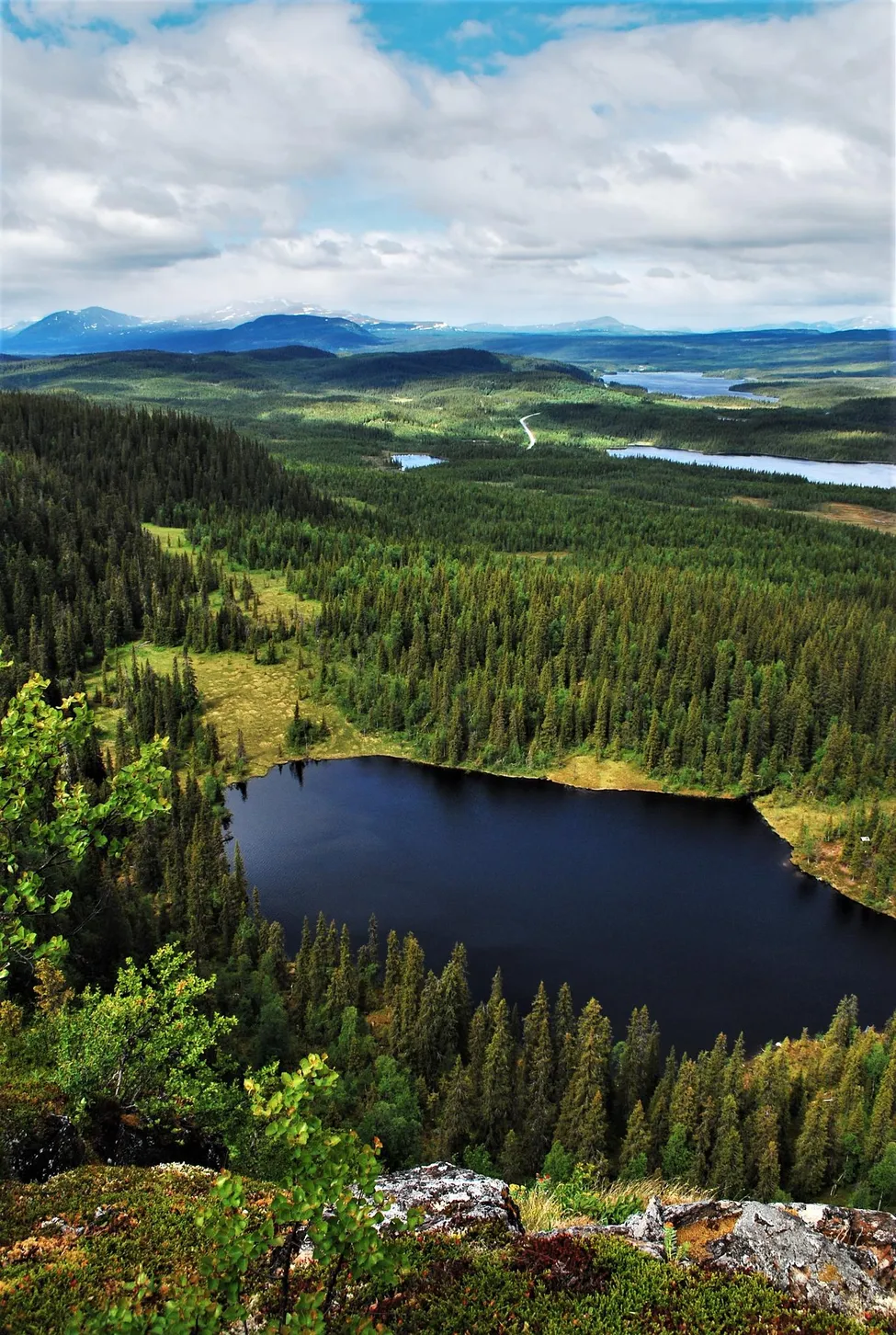 Klicka för att förstora