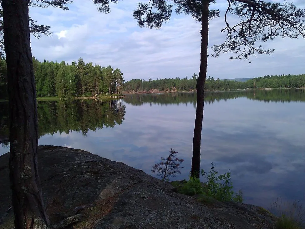 Klicka för att förstora