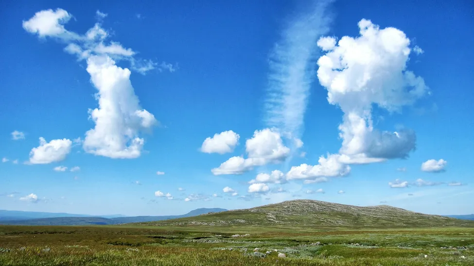 Klicka för att förstora