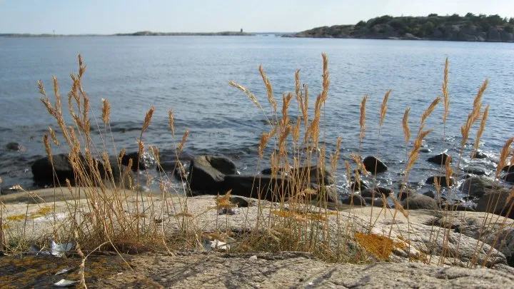 Klicka för att förstora