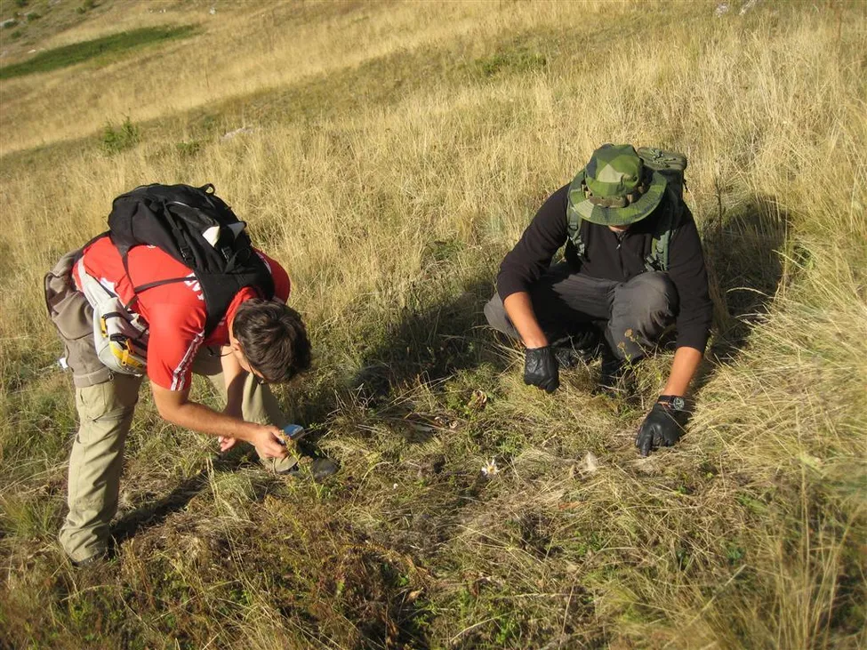 Klicka för att förstora