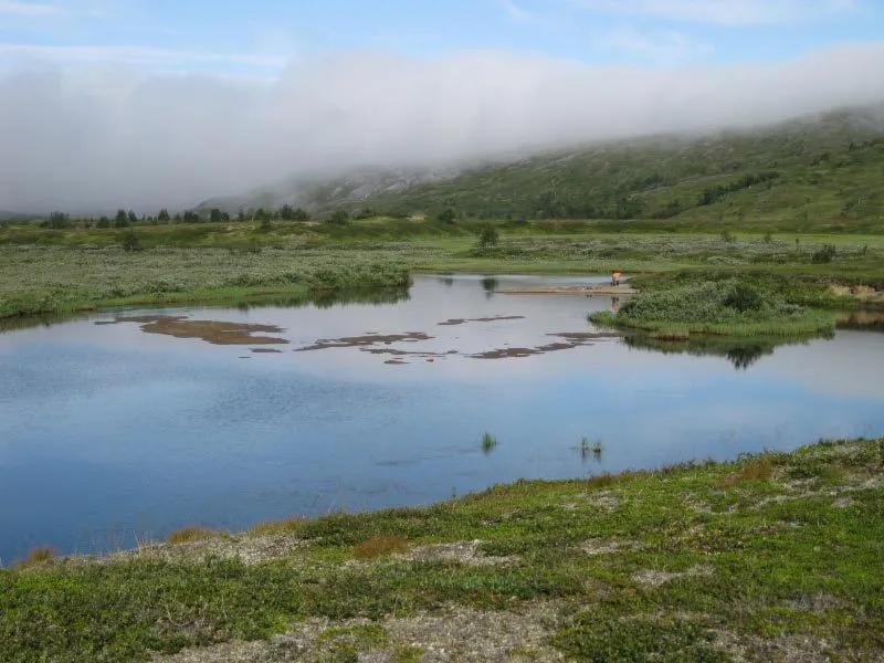 Klicka för att förstora