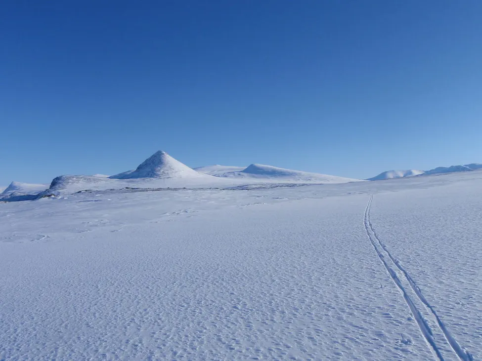 Klicka för att förstora
