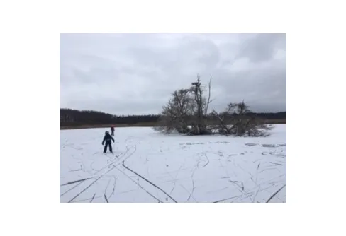 Långfärdsskridskor på Krankesjön