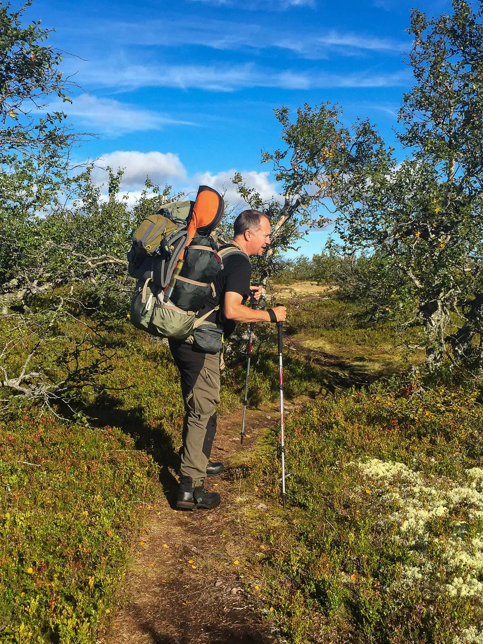 Klicka för att förstora