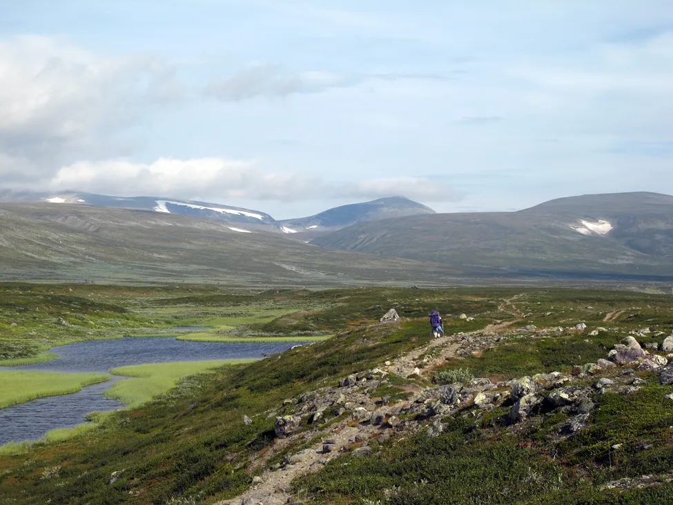 Klicka för att förstora