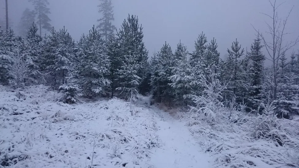 Klicka för att förstora