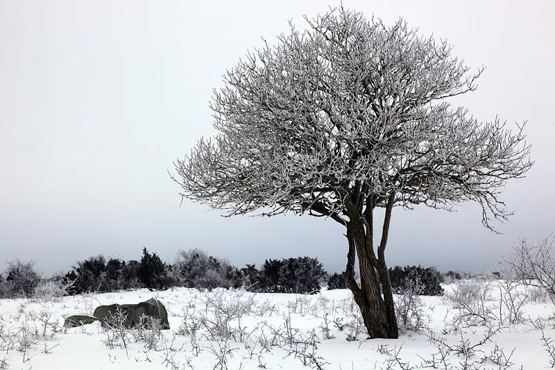 Klicka för att förstora